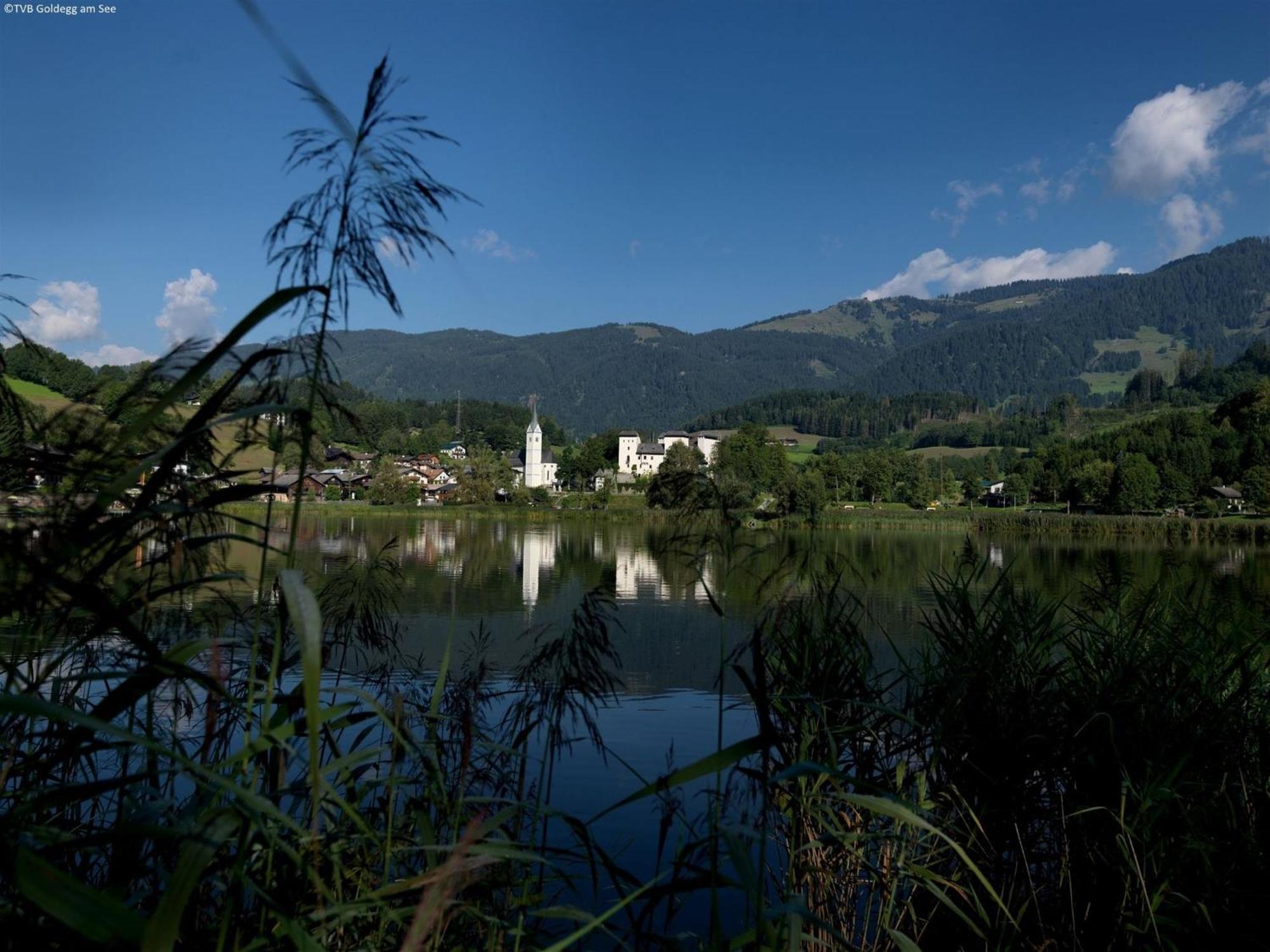 Holiday home Luxurious Mansion In Near Skiing Area Goldegg